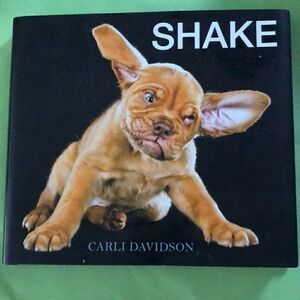 Shake by Carli Davidson
